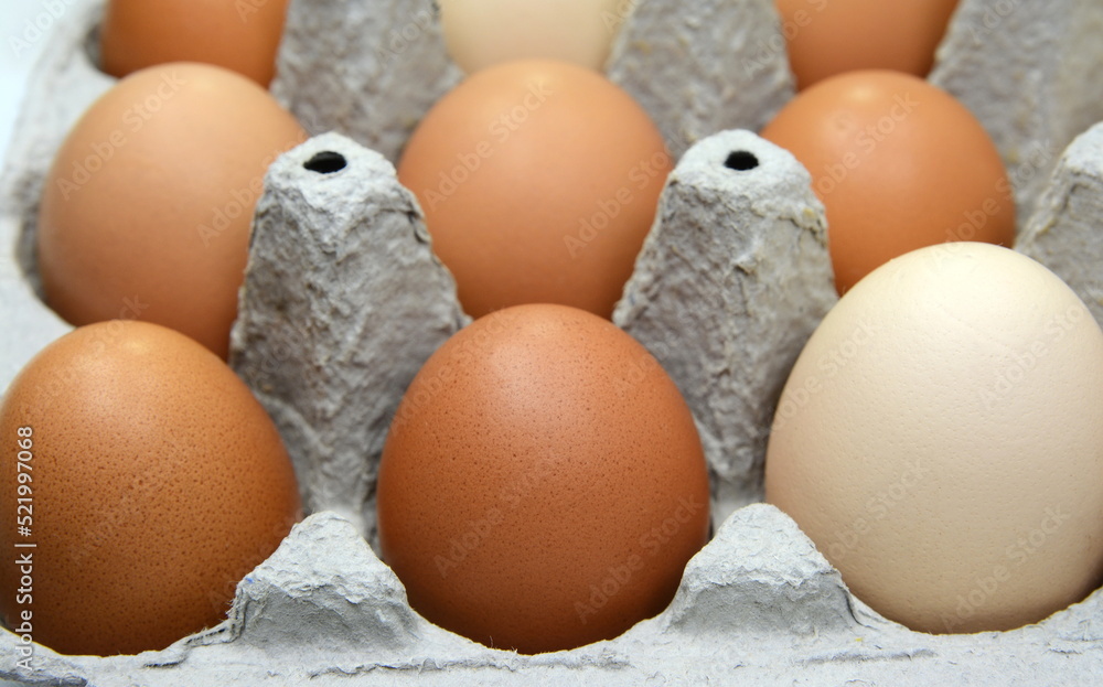 Brown and white chicken eggs in cardboard egg tray. Organic egg for healthy protein breakfast. Easter symbol. Raw chicken eggs. Brown and white chicken eggs in cardboard egg tray. Organic egg for healthy protein breakfast. Easter symbol. Raw chicken eggs.