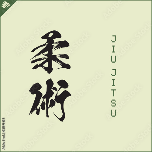 Kanji hieroglyph martial arts karate. Translated - JIU-JITSU