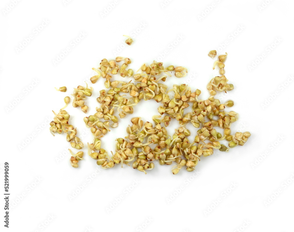 buckwheat sprouts isolated on white buckwheat sprouts isolated on white