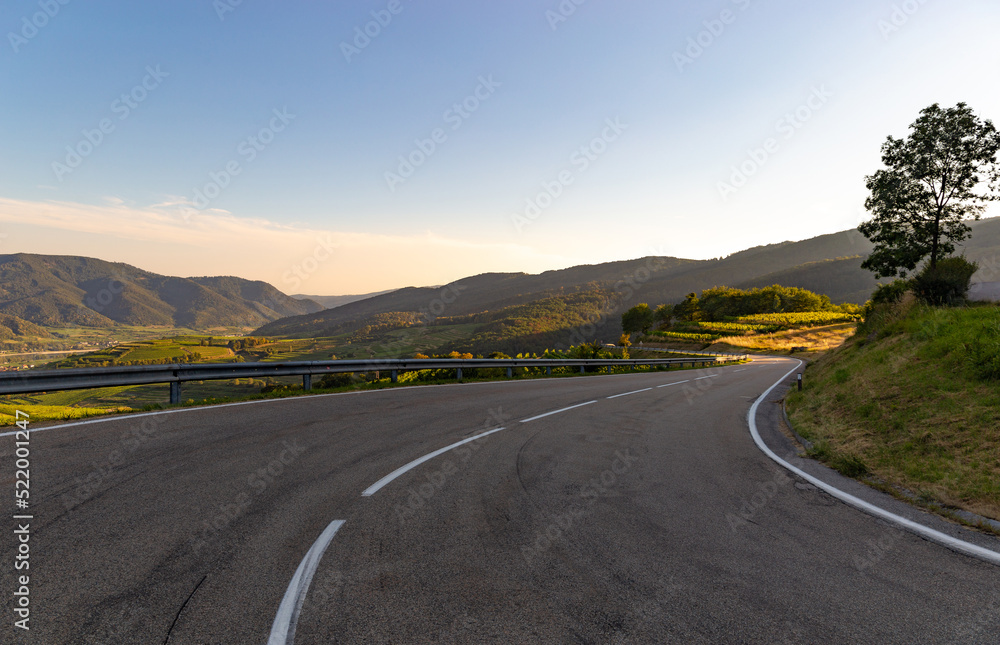 Fototapeta premium Road between vineyards in Wachau valley.