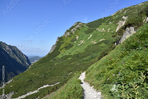 Dolina Roztoki, Tatry, TPN, krajobraz, góra photo