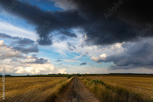 Dramatic storm clouds over fields. Country landscape. Windy weather. Plain field against the background of dark sky.