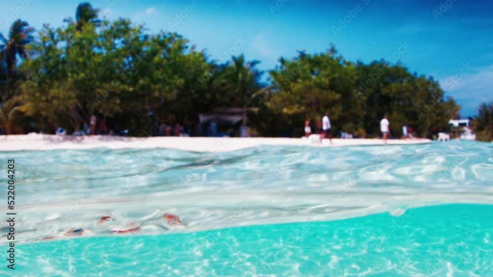 Tropical blue sea with island. Splitted view of the tropical island and the sea in the Maldives Tropical blue sea with island. Splitted view of the tropical island and the sea in the Maldives