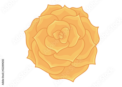 Yellow rose in vector isolated on white