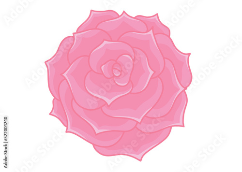Pink rose in vector isolated on white