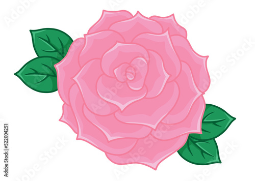 Pink rose in vector isolated on white