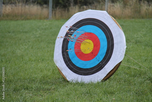 A Circular Archery Target with Many Arrows in it.