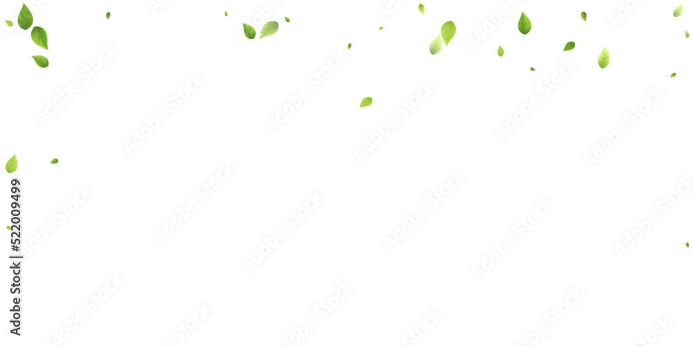 Leaves Green Falling Flying Foliage Leaf Tea Mint Leaves Green Falling Flying Foliage Leaf Tea Mint