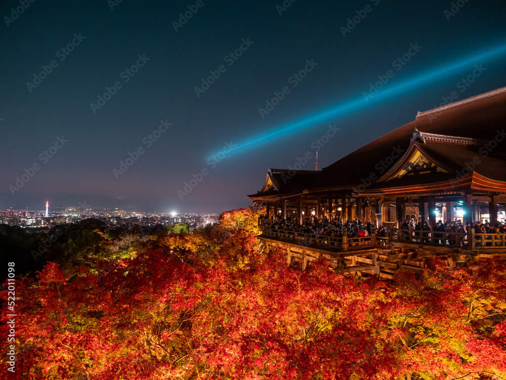 Fototapeta premium 清水寺と紅葉の夜景