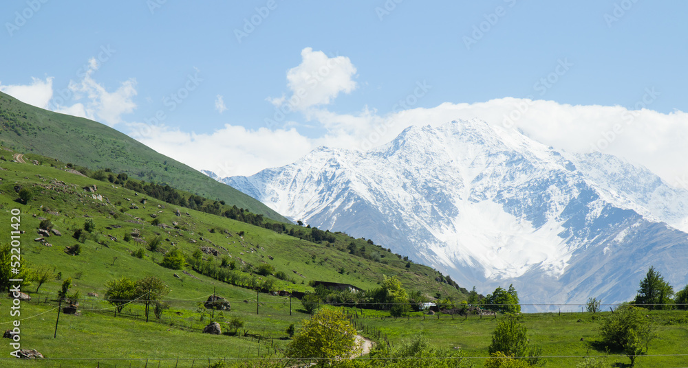 panorama of beautiful countryside sunny afternoon. wonderful springtime landscape in mountains.