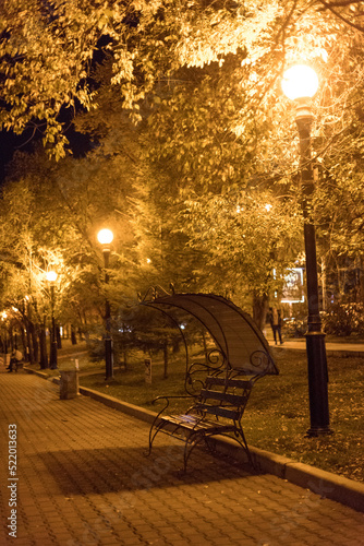 Autumn evening landscape with a lonely bench illuminated by a street lamp. A wooden bench, street lights, yellowed trees and fallen leaves. Lighting of the park road with lanterns at night.