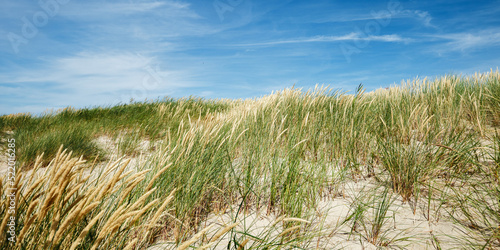 Wallpaper Mural Beach dunes nature panoramic view with dune green grass, fine sand and blue clouds sky. Shore of Baltic sea, Russia. Natural summer landscape, view seacoast as wide banner, nature scenery Torontodigital.ca