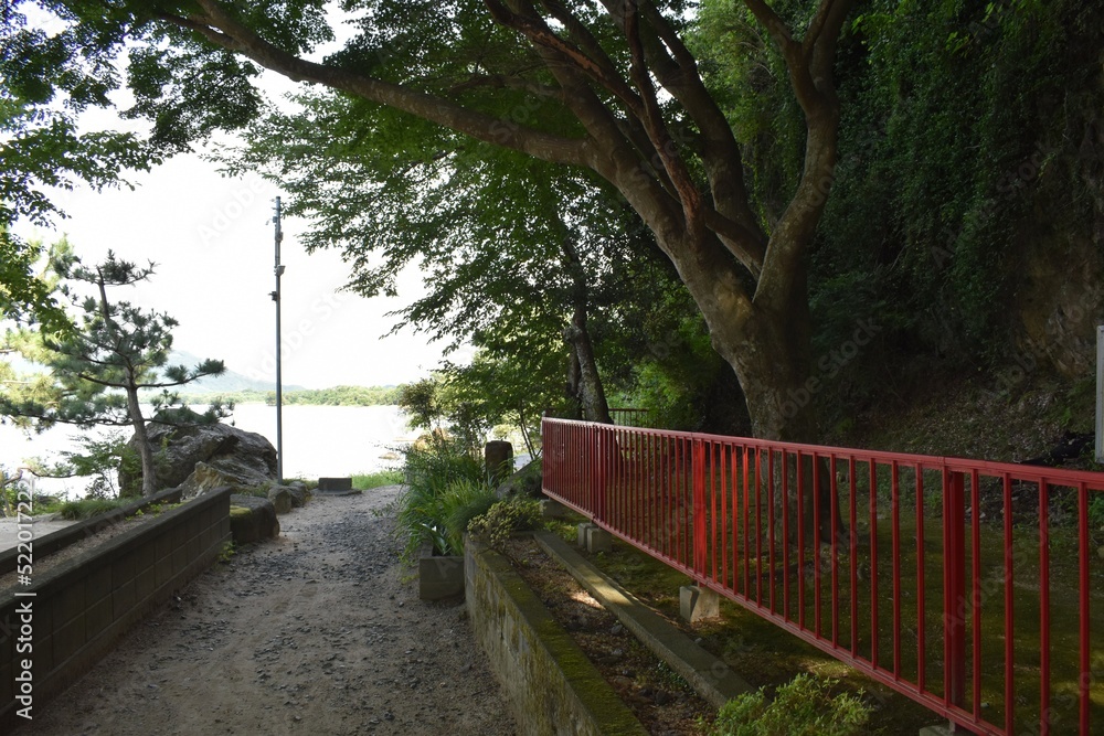 Fototapeta premium 琵琶湖、びわ湖、青空、夏空、神社、参道