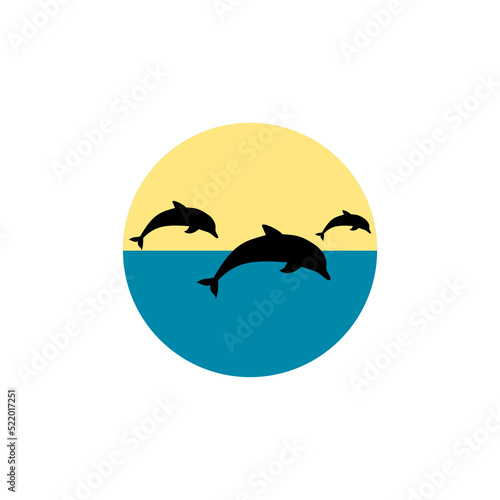 Dolphin icon isolated on white background