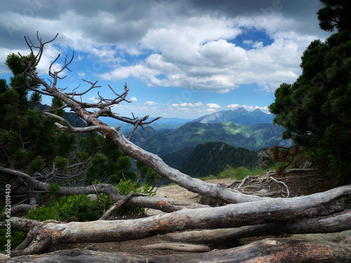 Panoramic scenic view of mountains in Tatres, Zakopane area, South Poland photo