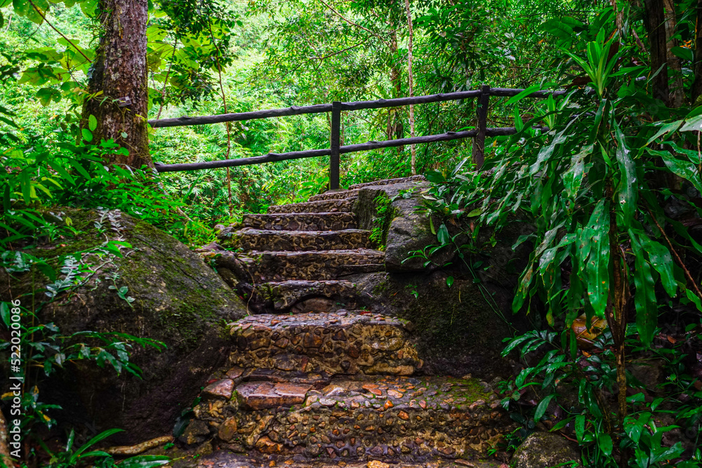 Obraz premium stairway to heaven