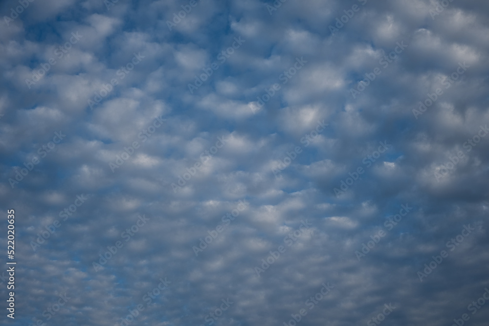 Cirrus clouds in a dark blue sky. Abstract natural background. Beautiful drawings of white clouds. full frame, copy space. The concept of rainy weather, predictions. Empty Sky for website text design