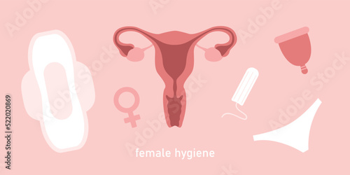 female hygiene products women uterus sanitary napkin tampon