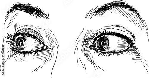 Close-up of adult woman's eyes looking left. Concept of eye language, non-verbal communication. Black and white vector illustration on white background.