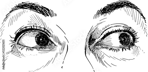 Close up of adult woman eyes looking right. Concept of eye language, non-verbal communication. Black and white vector illustration on white background.