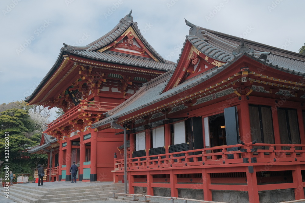 Naklejka premium 鎌倉の鶴岡八幡宮