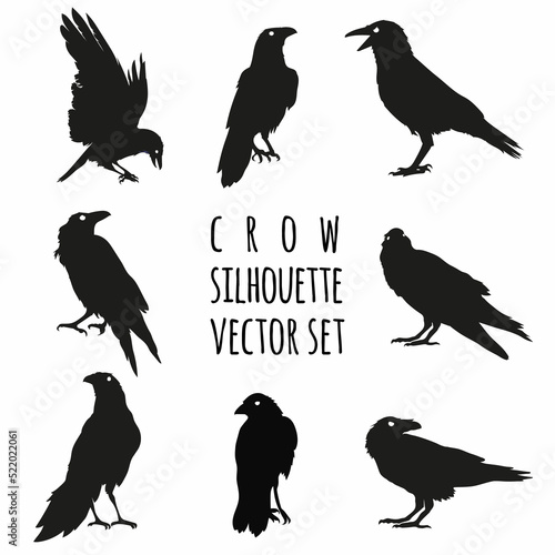 crow silhouette vector set, raven vector set