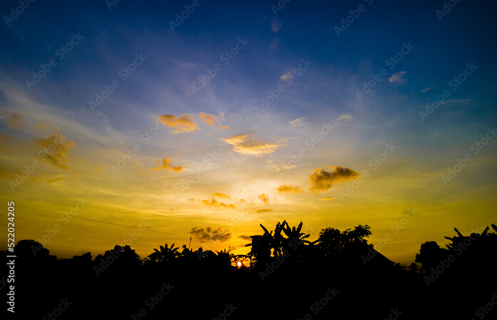 Panoramic tree silhouette at sunset. Silhouette of trees and sky clouds in yellow and dark blue in the afternoon. Silhouette of dark trees and dramatic and beautiful sunrise sky during golden hour
