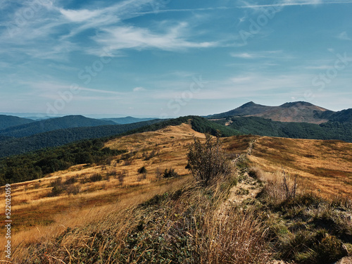 Summer sunny mountain landscape in Poland in the Bieszczady Mountains