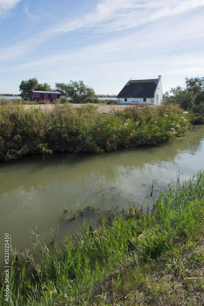 Fototapeta premium Saintes Maries de la Mer en Camargue
