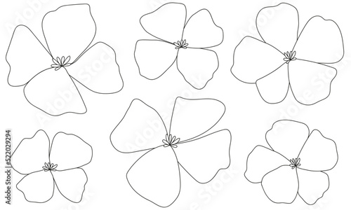 set of flower illustrations 