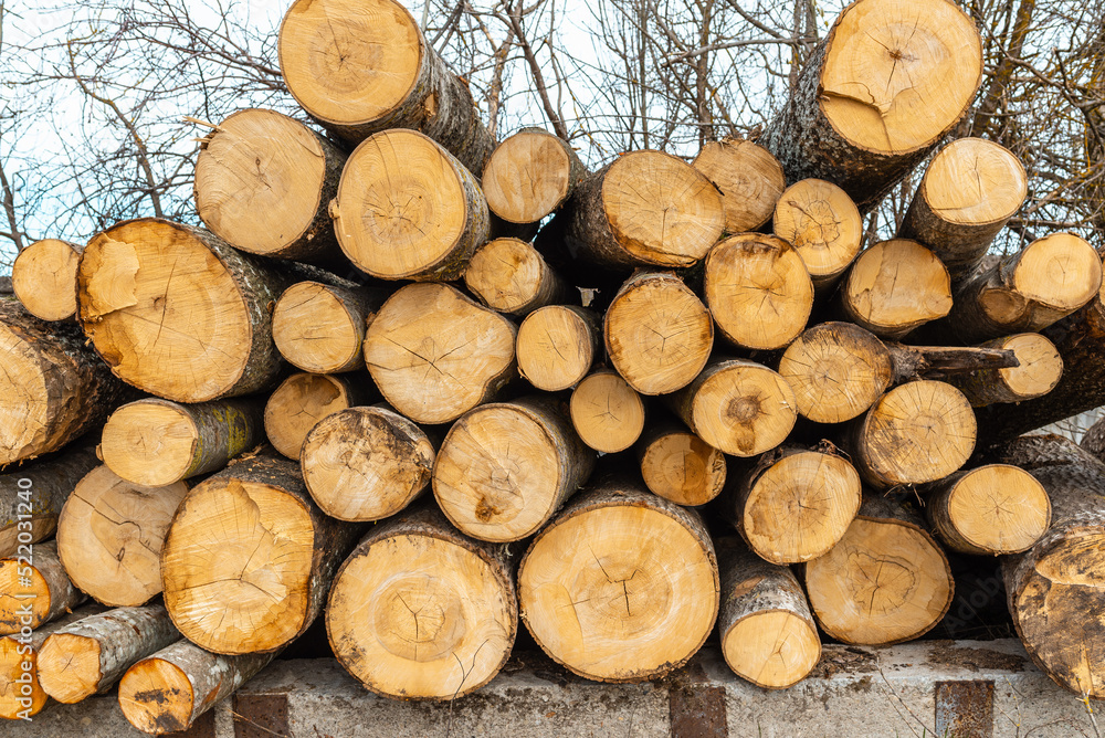 Pile of wood logs storage for industry.Stacked loggs of fire wood texture background.Selective focus. Pile of wood logs storage for industry.Stacked loggs of fire wood texture background.Selective focus.