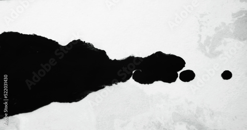 Black ink spatter on white paper. Dye drop texture. Grunge overlay. Liquid spill blob spreading on uneven abstract copy space background.
