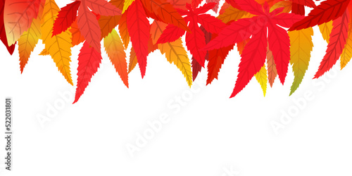背景なしの真っ赤な紅葉の背景バナーテンプレート