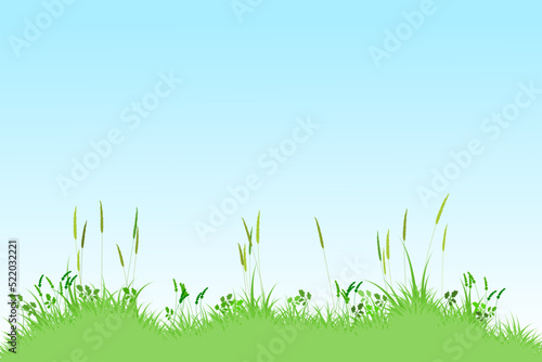 summer reeds grass with blue sky background. grass landscape vector illustration