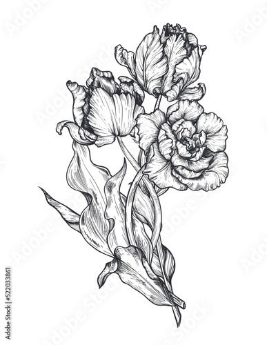 Beautiful hand drawn vector composition with tulip flowers