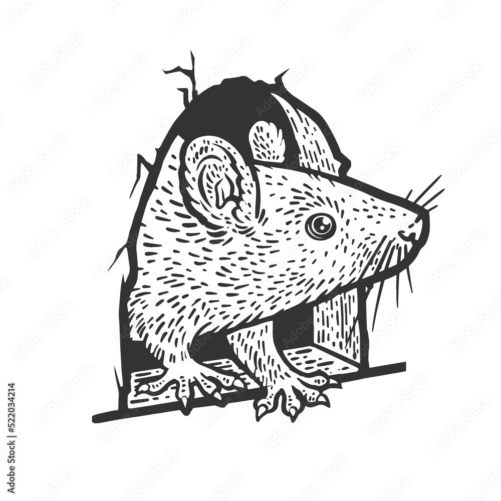 Rat Mouse Peeking Out Of Hole In Wall Sketch Engraving Raster rat-mouse-peeking-out-of-hole-in-wall-sketch-engraving-raster