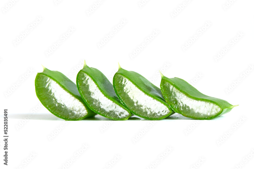 Aloe vera fresh leaf isolated on white background Aloe vera fresh leaf isolated on white background