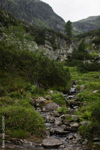 stream in the mountains