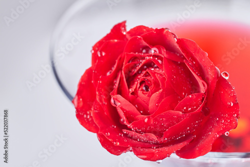 Fototapeta Naklejka Na Ścianę i Meble -  Close up red flower with water droplets. Macro photo of petals.