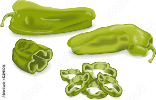 Whole, quarter, slices, and wedges of Cubanelle pepper. Capsicum annuum cubanelle, cuban pepper, Italian Frying Pepper. Fresh organic vegetables. Vector illustration isolated on white background.