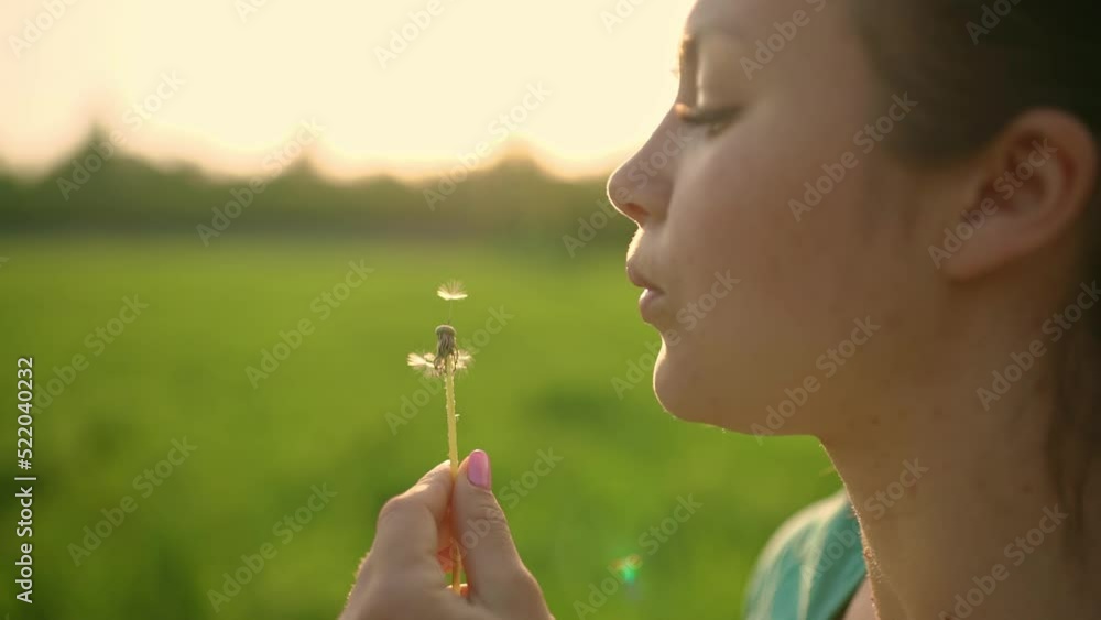 Close-up of a young happy girl blowing on a dandelion. Close-up of a young happy girl blowing on a dandelion.