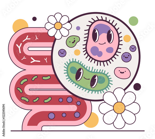 Good balance of intestinal flora. Microorganisms maintenaning intestinal