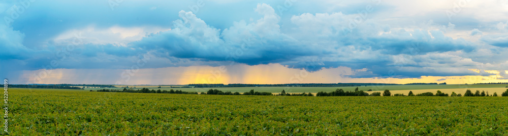 Summer rural panoramic landscape with dark rainy clouds over the fields