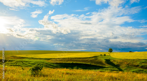 Summer rural landscape with farm fields