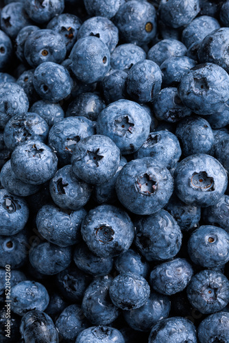 freshly picked washed blueberry background. Macro. vertical, top view