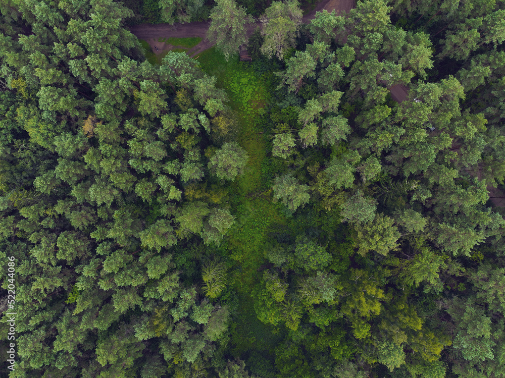 This aerial image captures a dense and thriving forest from a top-down perspective, showcasing a rich tapestry of green hues. The verdant canopy of the woodland is a mosaic of varying shades of green