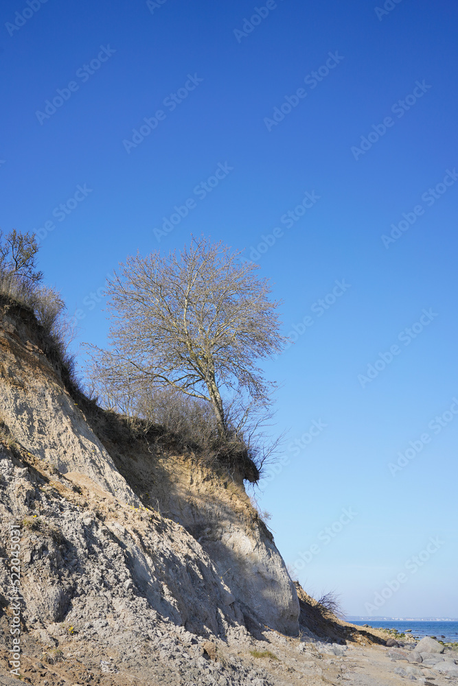 The cliff coast 