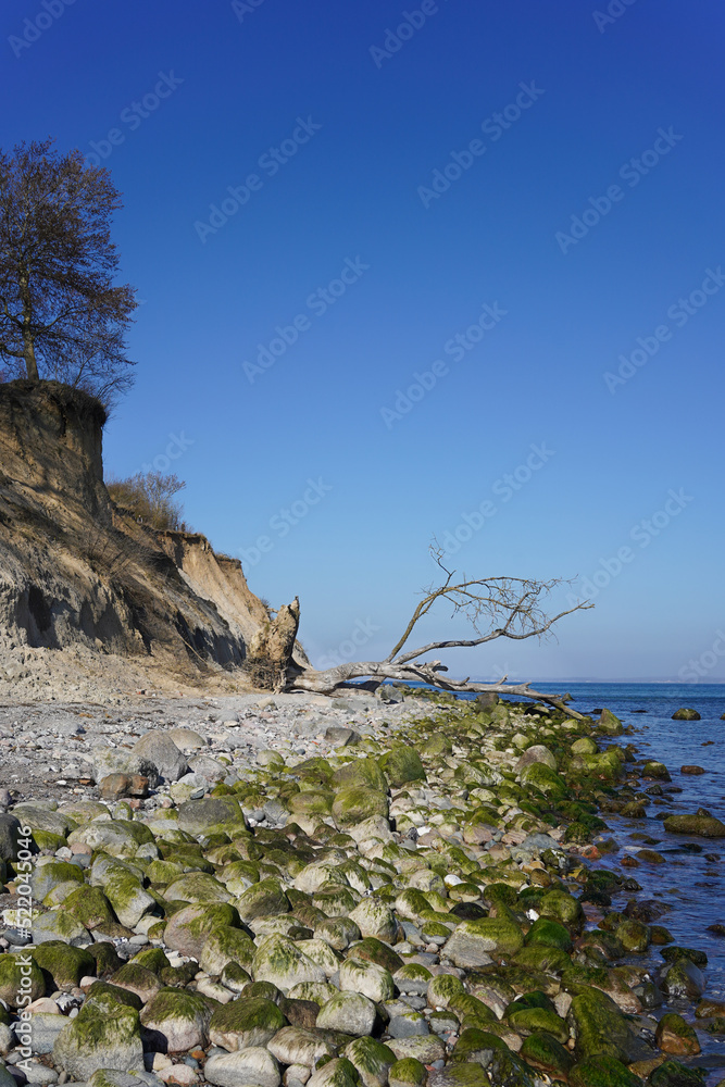 The cliff coast The cliff coast