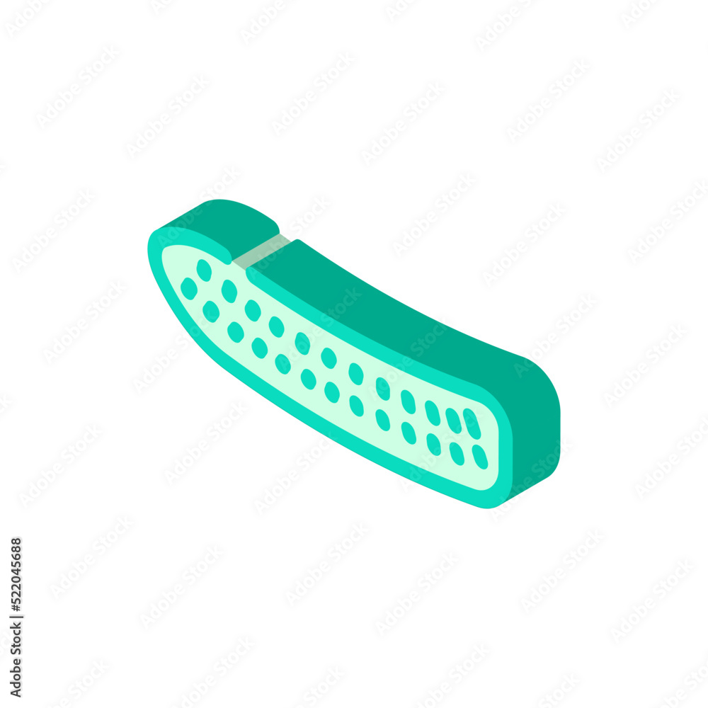 cucumber cut isometric icon vector. cucumber cut sign. isolated symbol illustration cucumber cut isometric icon vector. cucumber cut sign. isolated symbol illustration