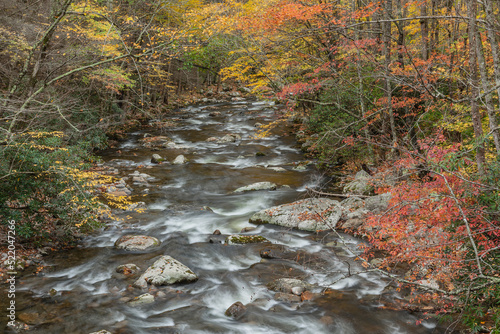 Autumn rapids on the Little River framed by foliage, Tremont Area, Great Smoky Mountains National Park, Tennessee, USA photo